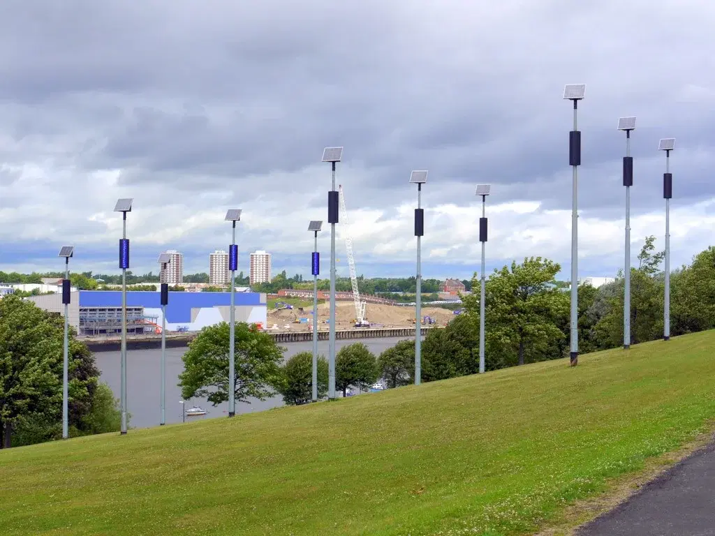 Dog-Friendly Hebburn: Walks, Parks and Supplies